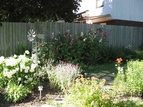 Twin Pines Bed And Breakfast Peterborough Extérieur photo